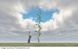 explosive colocation